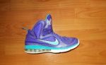 Nike LeBron IX Hornets